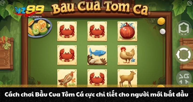 Cách chơi Bầu Cua Tôm Cá cực chi tiết cho người mới bắt đầu