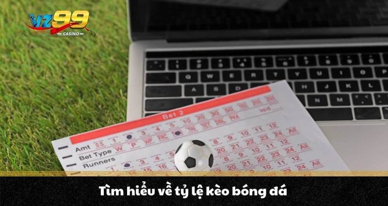 Tỷ lệ kèo bóng đá - Cách đọc kèo dễ hiểu cho người mới chơi 4 Tìm hiểu về tỷ lệ kèo bóng đá