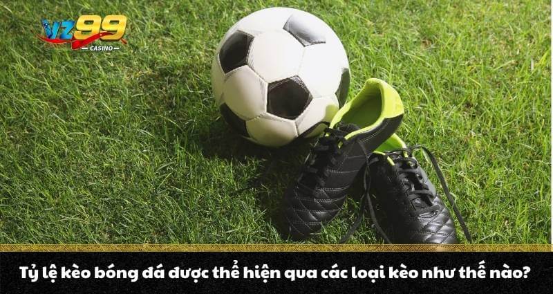 Tỷ lệ kèo bóng đá - Cách đọc kèo dễ hiểu cho người mới chơi 5 Tỷ lệ kèo bóng đá được thể hiện qua các loại kèo như thế nào?