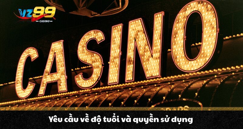 ĐIỂU KHOẢN VÀ ĐIỀU KIỆN VZ99 5 Yêu cầu về độ tuổi và quyền sử dụng